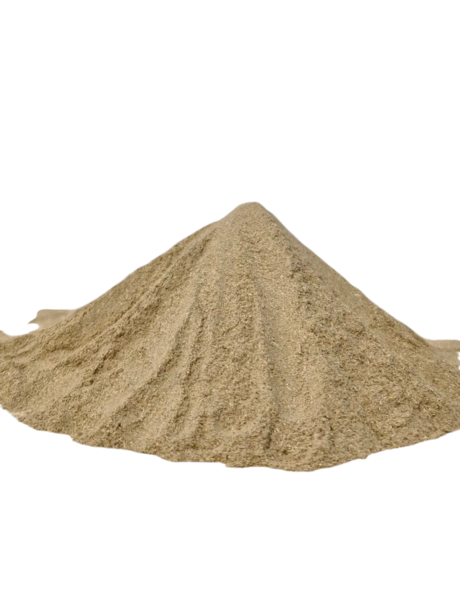 Ramacham powder - Image 2