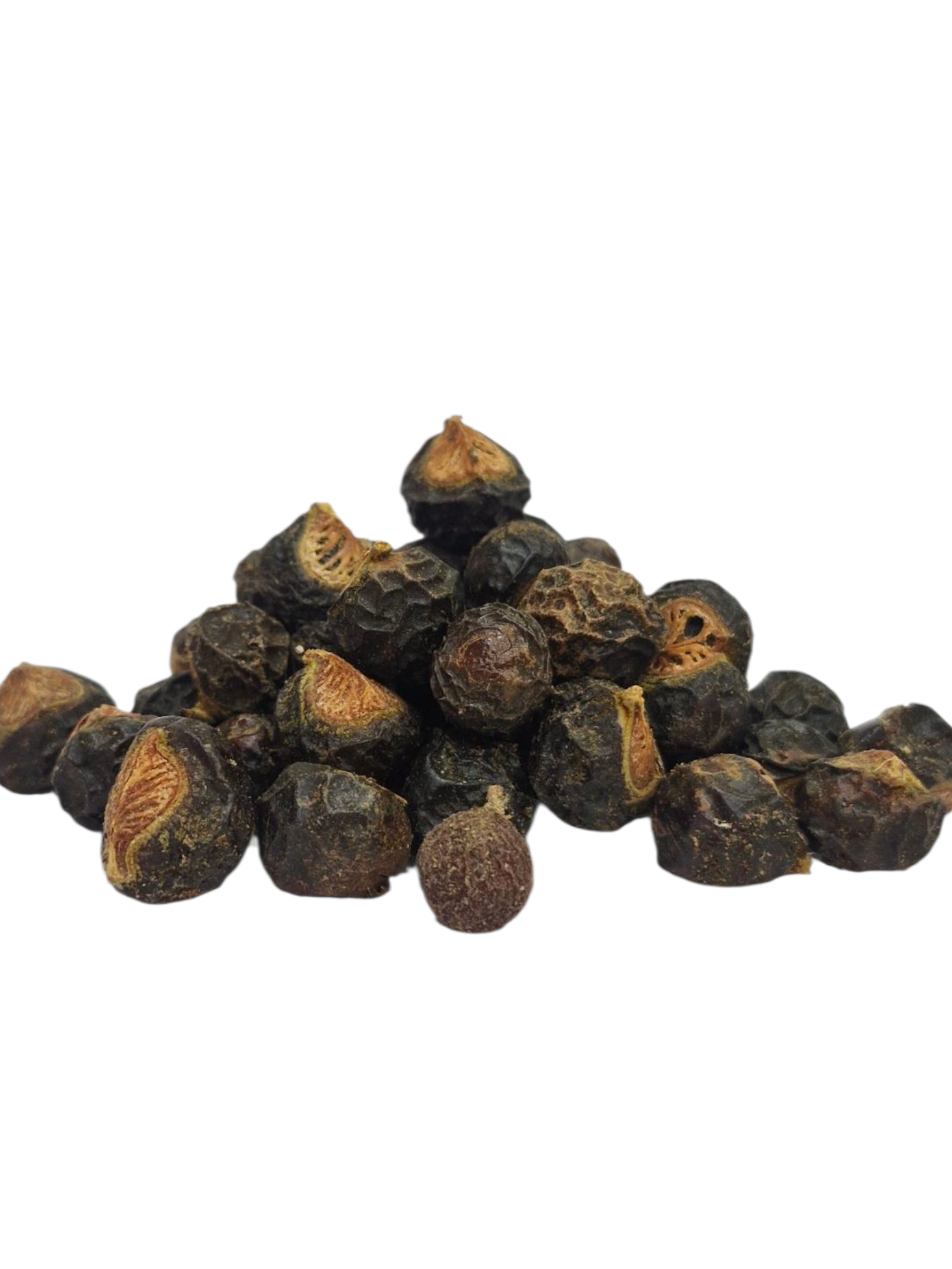 Soap nut seed - Image 2
