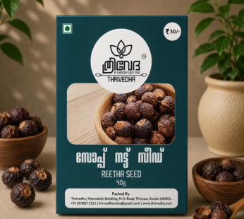 Reetha Seed –  Sopukaaya Seed