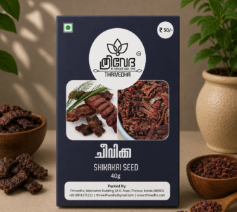 Shikakai Seed – Cheevakka