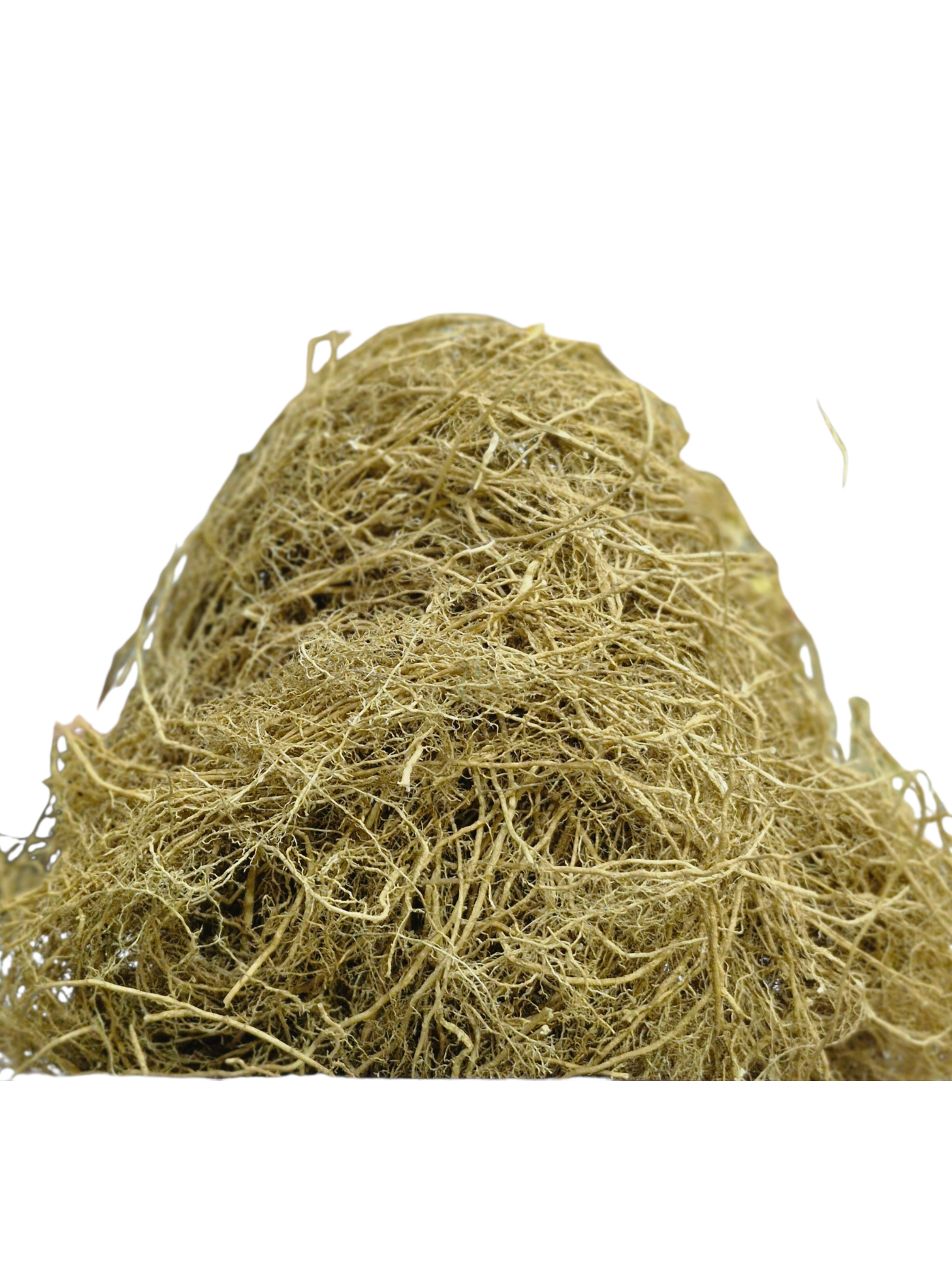 RAMACHAM CLEANED - Image 2