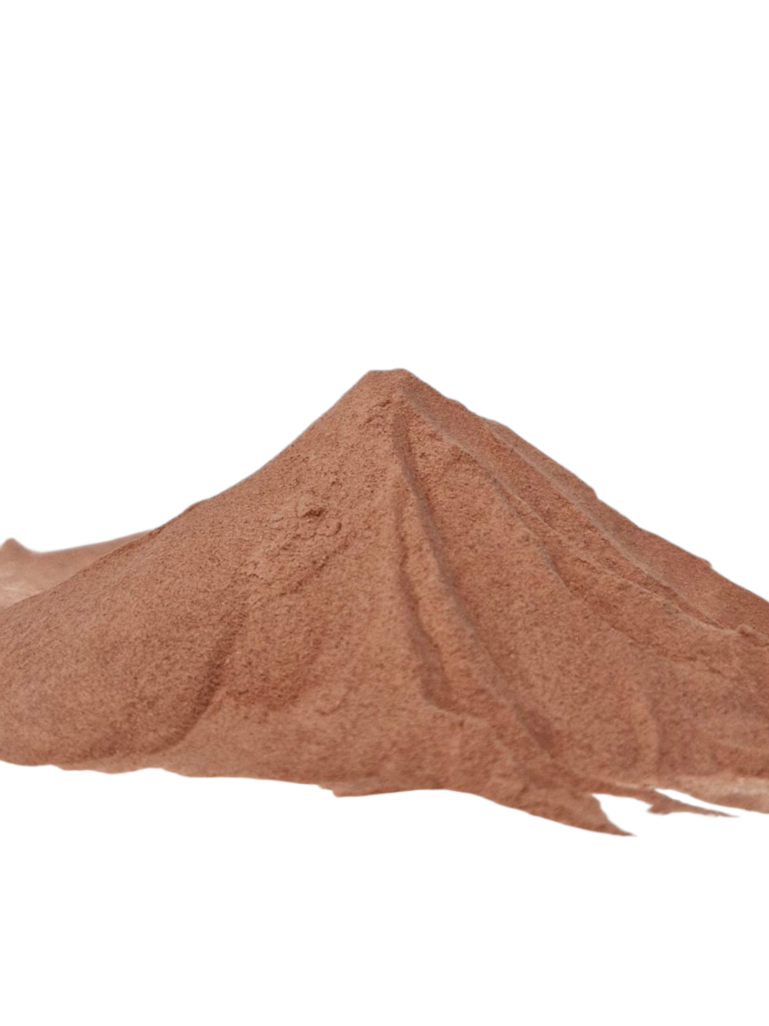 TOMATO DRY POWDER - Image 2