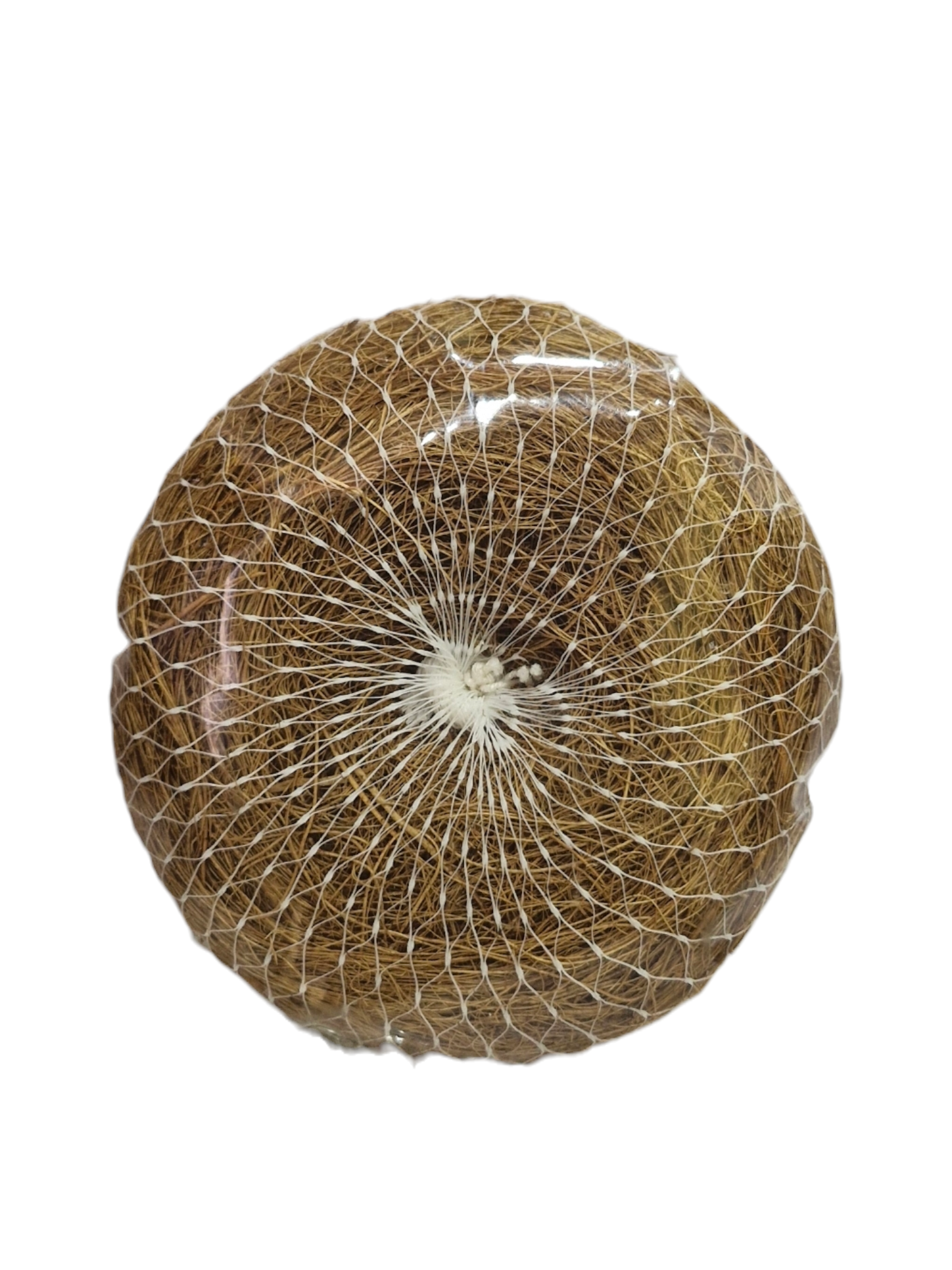 COCONUT SCRUBBER - Image 2