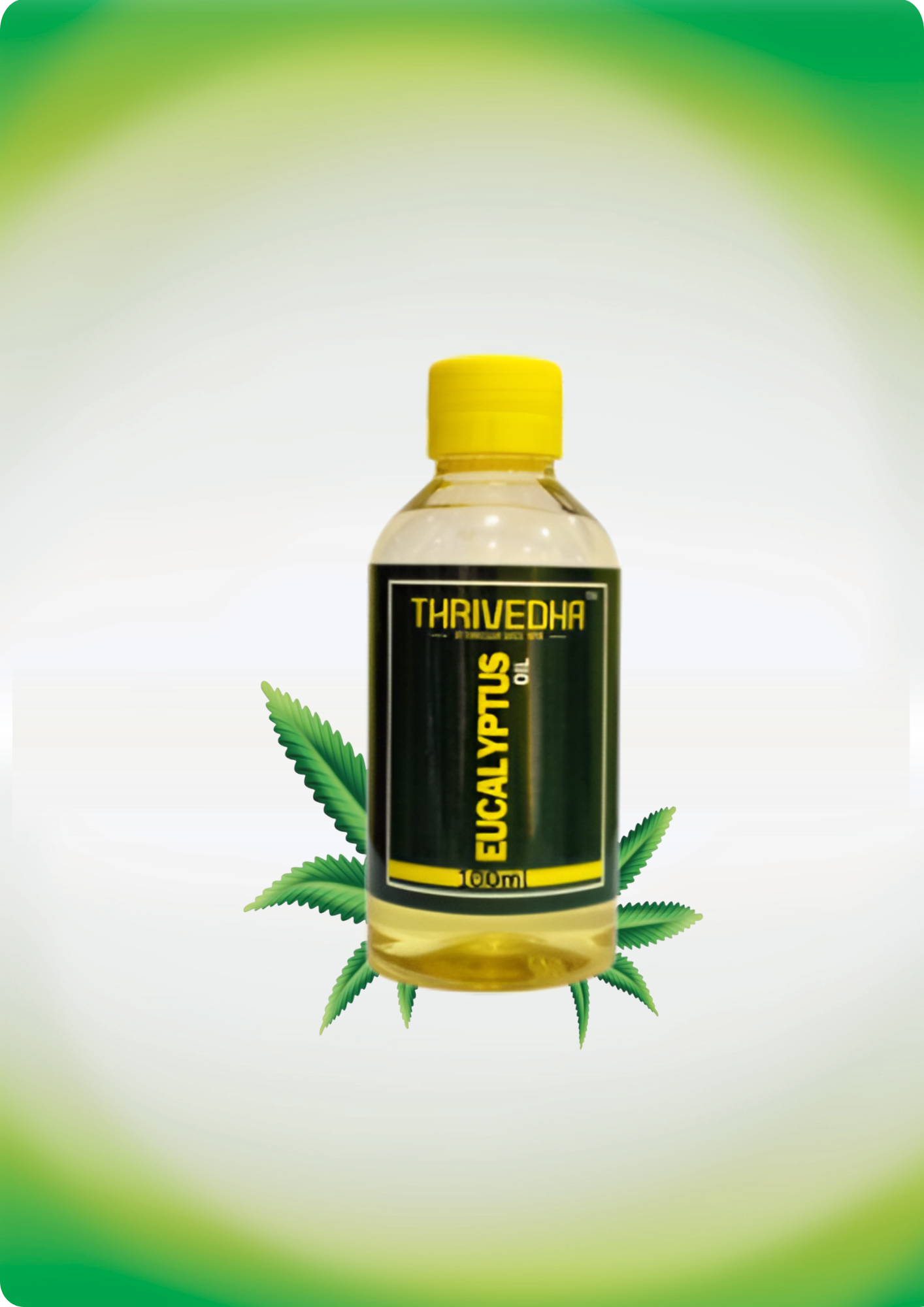 EUCALYPTS OIL - Image 3