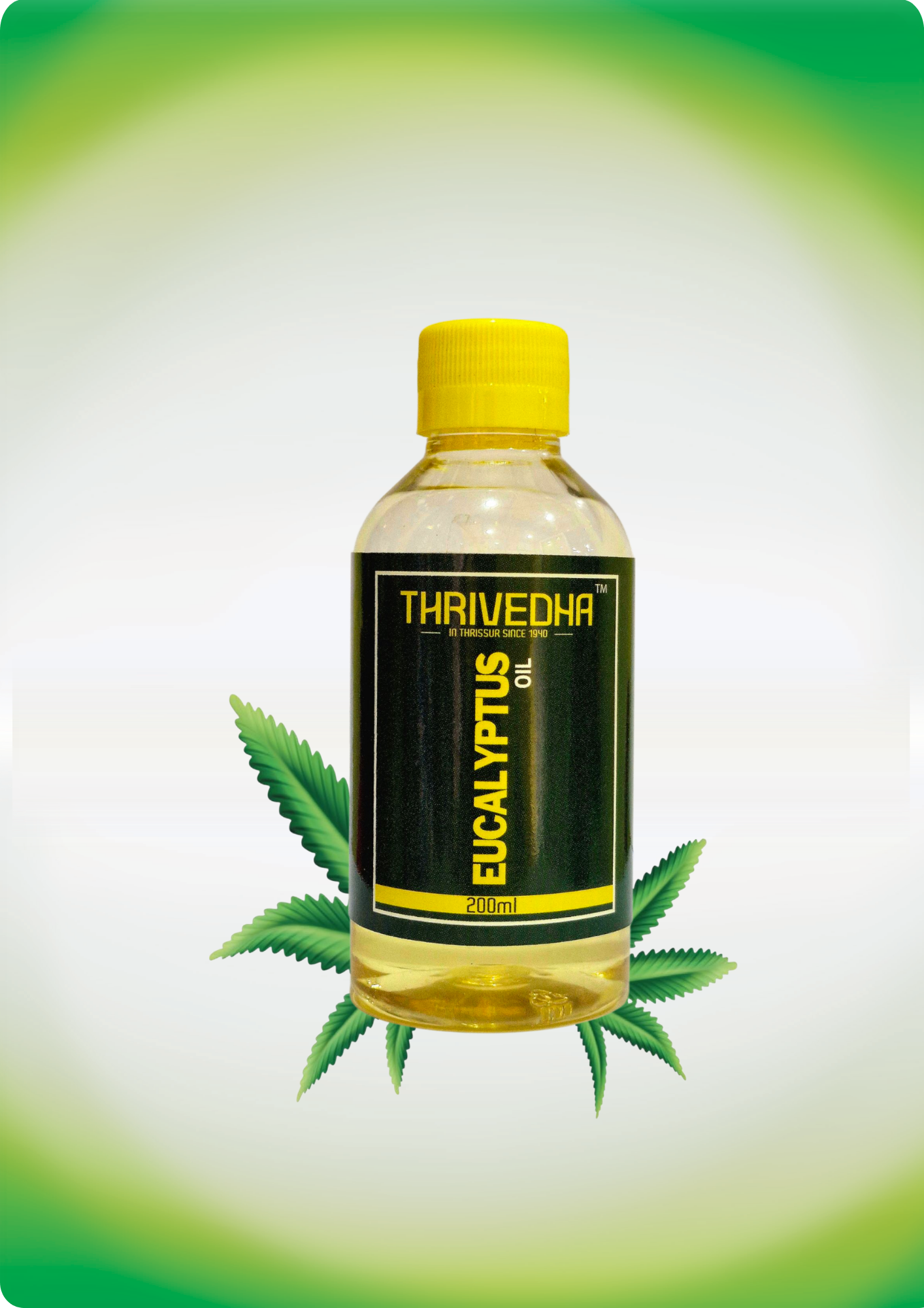 EUCALYPTS OIL - Image 4