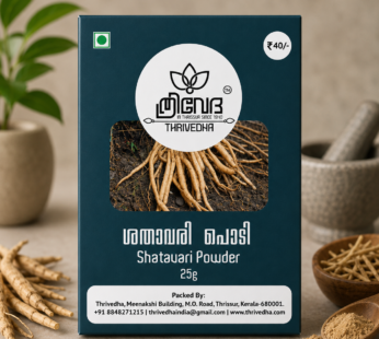 Shatavari Powder